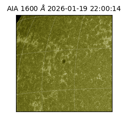 saia - 2026-01-19T22:00:14.130000