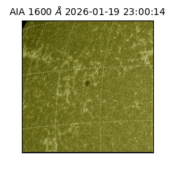 saia - 2026-01-19T23:00:14.130000