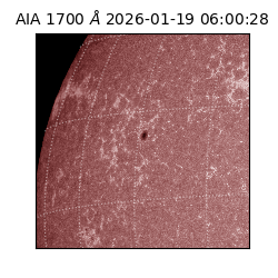 saia - 2026-01-19T06:00:28.720000