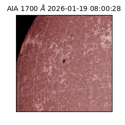 saia - 2026-01-19T08:00:28.720000