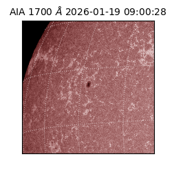 saia - 2026-01-19T09:00:28.720000