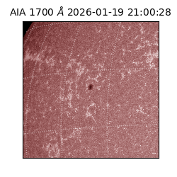 saia - 2026-01-19T21:00:28.710000