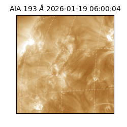 saia - 2026-01-19T06:00:04.840000