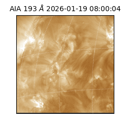 saia - 2026-01-19T08:00:04.830000
