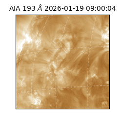 saia - 2026-01-19T09:00:04.840000
