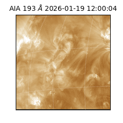 saia - 2026-01-19T12:00:04.840000
