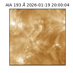 saia - 2026-01-19T20:00:04.850000