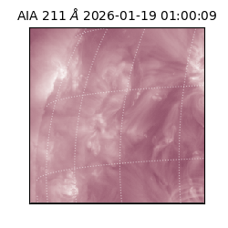 saia - 2026-01-19T01:00:09.632000