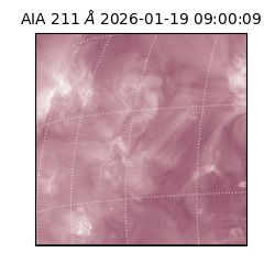 saia - 2026-01-19T09:00:09.630000