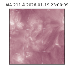 saia - 2026-01-19T23:00:09.630000