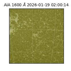 saia - 2026-01-19T02:00:14.126000