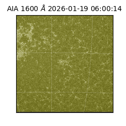 saia - 2026-01-19T06:00:14.130000