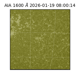 saia - 2026-01-19T08:00:14.120000