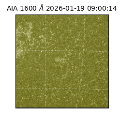 saia - 2026-01-19T09:00:14.130000