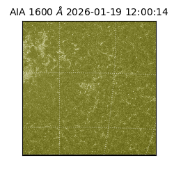 saia - 2026-01-19T12:00:14.130000
