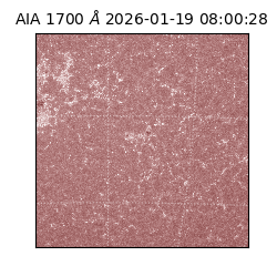 saia - 2026-01-19T08:00:28.720000