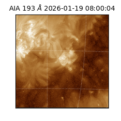 saia - 2026-01-19T08:00:04.830000