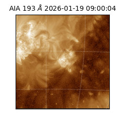 saia - 2026-01-19T09:00:04.840000