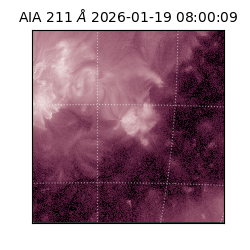 saia - 2026-01-19T08:00:09.620000