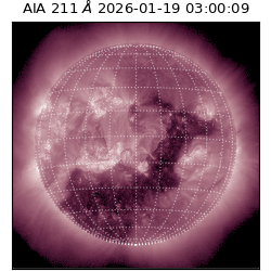 saia - 2026-01-19T03:00:09.625000