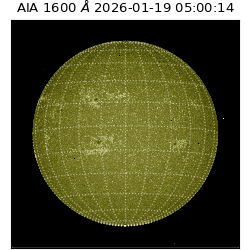saia - 2026-01-19T05:00:14.130000