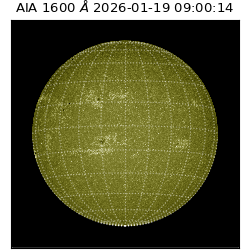 saia - 2026-01-19T09:00:14.130000