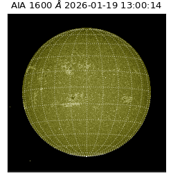 saia - 2026-01-19T13:00:14.130000