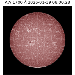saia - 2026-01-19T08:00:28.720000