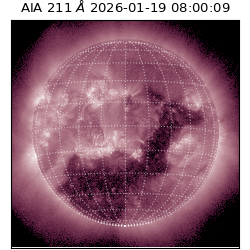 saia - 2026-01-19T08:00:09.620000