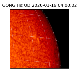 gong - 2026-01-19T04:00:02