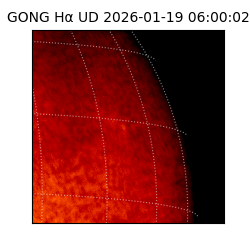 gong - 2026-01-19T06:00:02