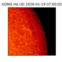 gong - 2026-01-19T07:00:02