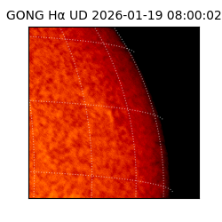 gong - 2026-01-19T08:00:02