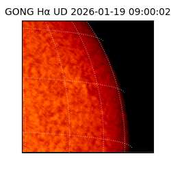 gong - 2026-01-19T09:00:02