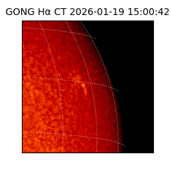 gong - 2026-01-19T15:00:42