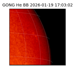 gong - 2026-01-19T17:03:02