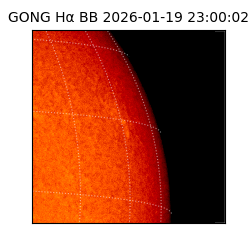 gong - 2026-01-19T23:00:02