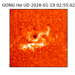 gong - 2026-01-19T02:55:02