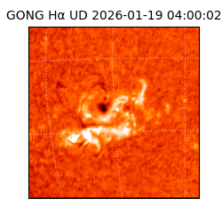 gong - 2026-01-19T04:00:02