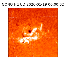 gong - 2026-01-19T06:00:02