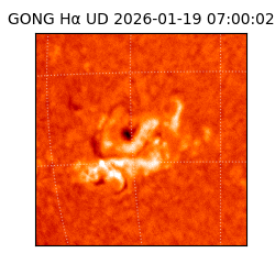 gong - 2026-01-19T07:00:02