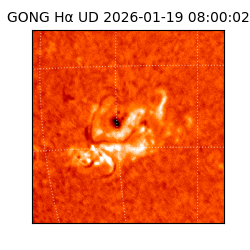 gong - 2026-01-19T08:00:02