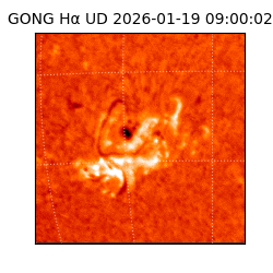 gong - 2026-01-19T09:00:02