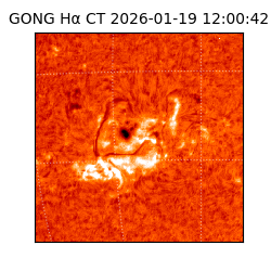 gong - 2026-01-19T12:00:42
