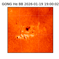 gong - 2026-01-19T19:00:02