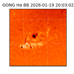 gong - 2026-01-19T20:03:02