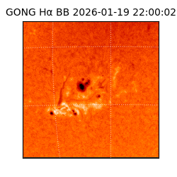 gong - 2026-01-19T22:00:02