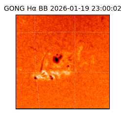 gong - 2026-01-19T23:00:02