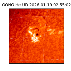 gong - 2026-01-19T02:55:02