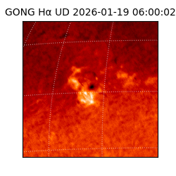 gong - 2026-01-19T06:00:02